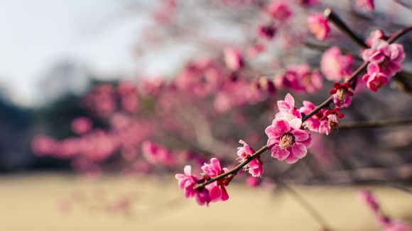 兰州修手机哪里便宜