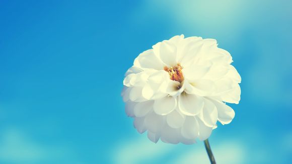信号带宽是什么