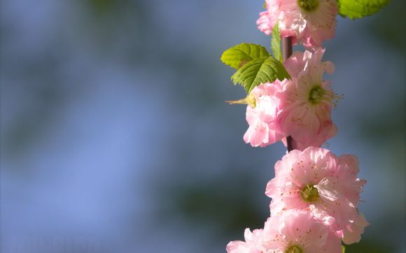 为什么笔记本电脑卡